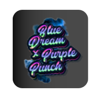 Blue Dream